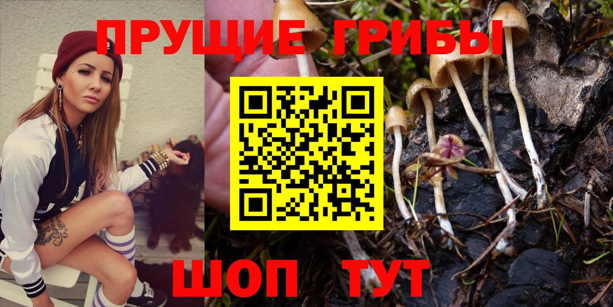 Галлюциногенные грибы прущие грибы  Вход с VPN  Псилоцибиновые грибы MAGIC MUSHROOMS  наркотики  Нижнеудинск 