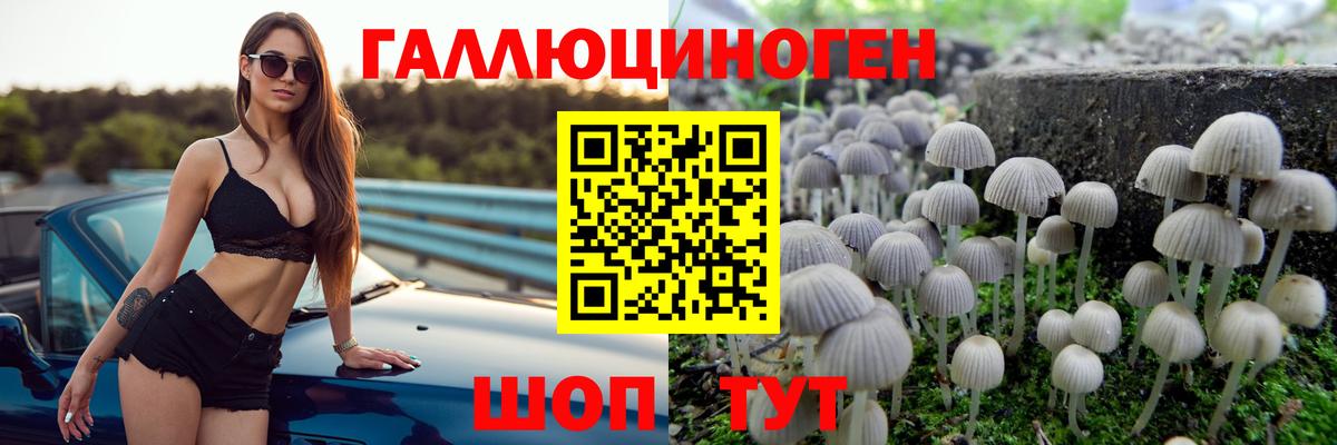 Псилоцибиновые грибы Psilocybine cubensis Нижнеудинск